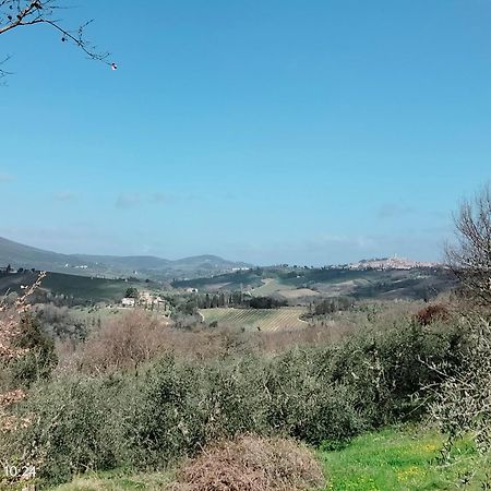Piazza Arnolfo 1932 Daire Colle Val D'Elsa Dış mekan fotoğraf