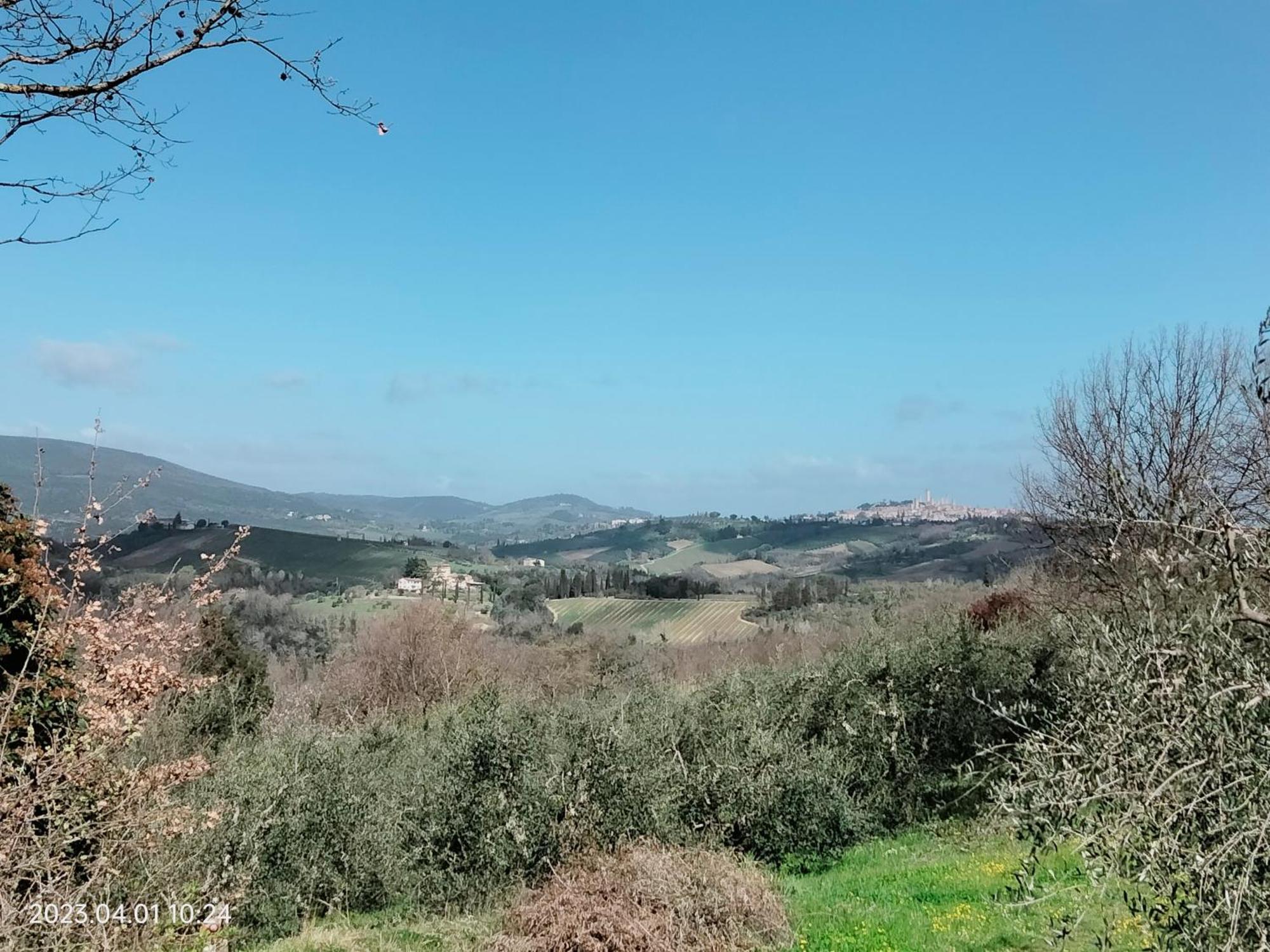 Piazza Arnolfo 1932 Daire Colle Val D'Elsa Dış mekan fotoğraf
